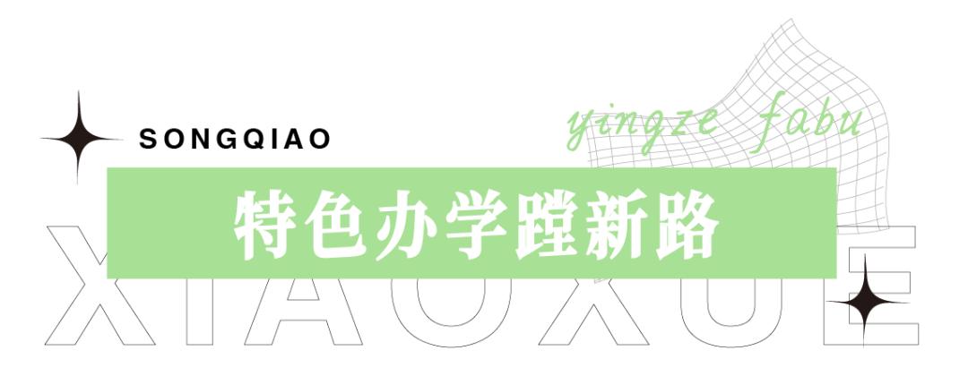 太原松侨小学是松庄小学吗,太原市迎泽区松侨学校