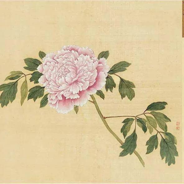 蒋廷锡牡丹画法,蒋廷锡百种牡丹画法