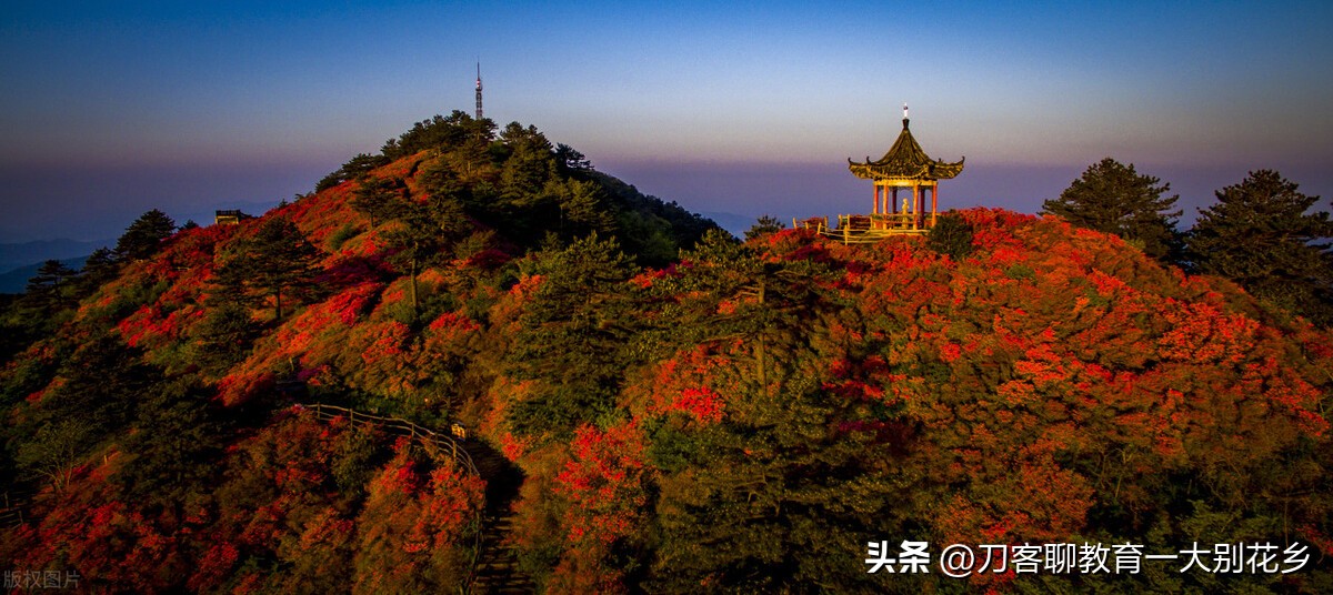 围棋国手李喆,鲍海涛鹿邑