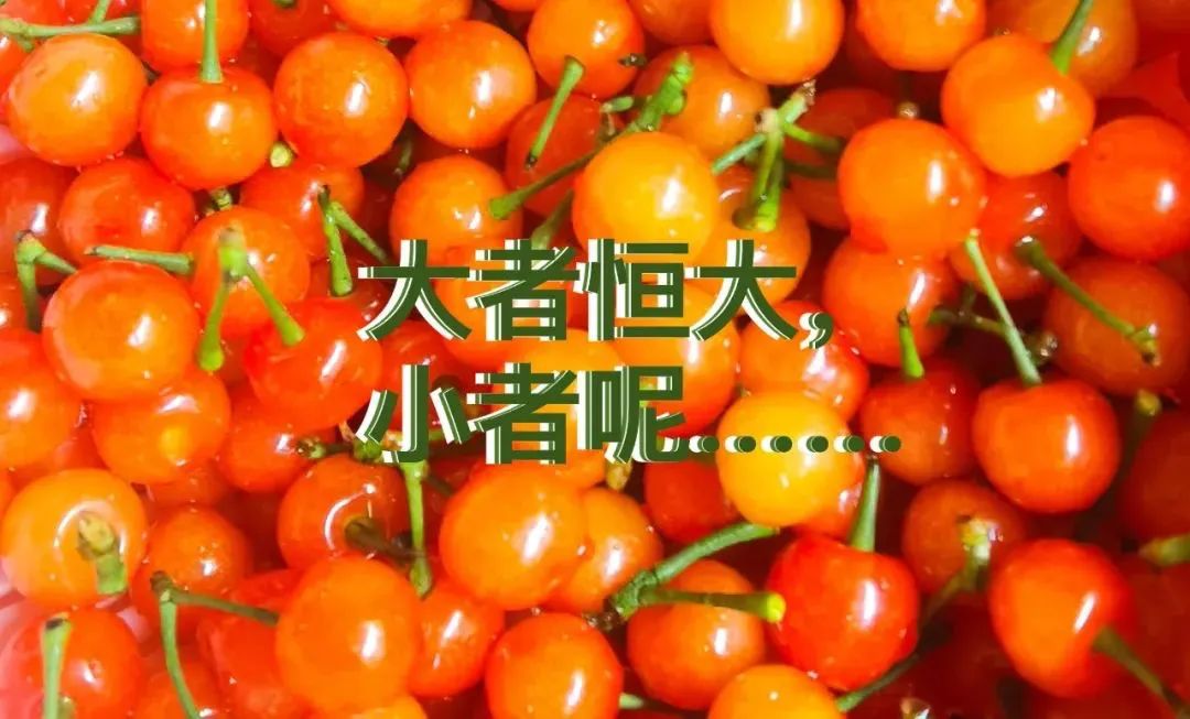 同样是做生意为什么差距那么大,同样是做生意为啥差距这么大