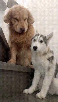 健身房有多乱知乎,健身房真的乱吗知乎后续