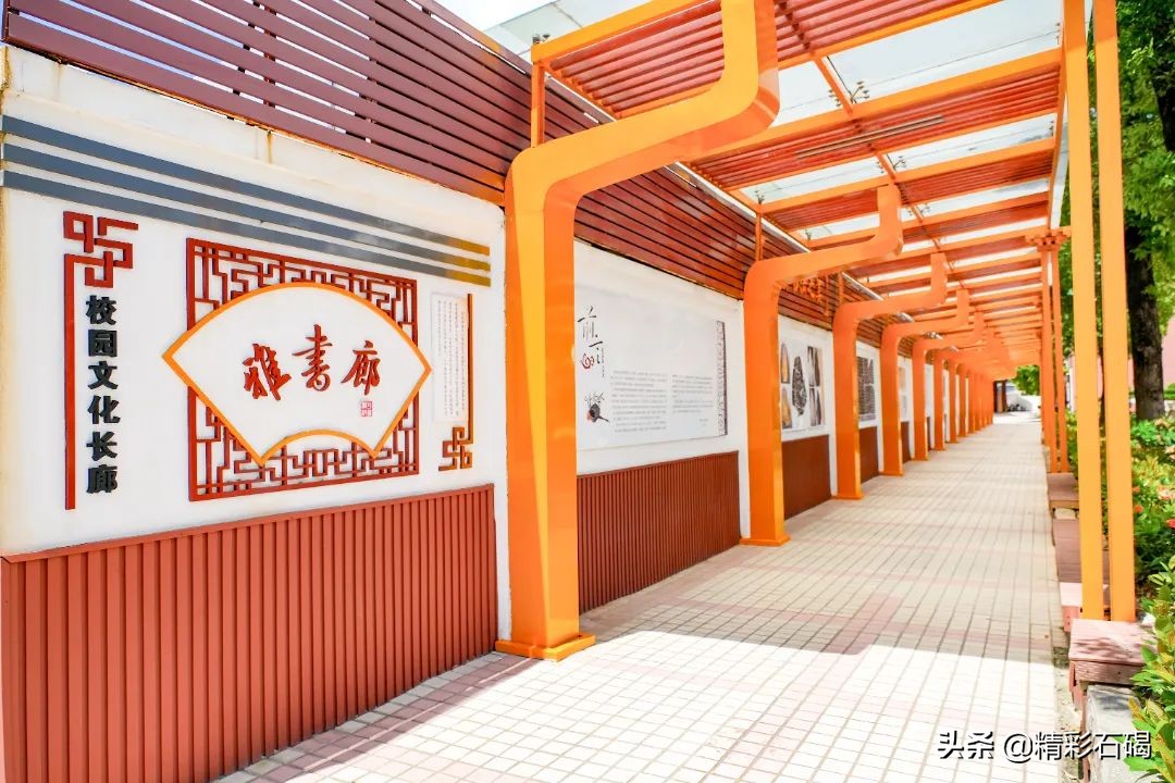 石碣四海学校招生简章,石排四海学校招生