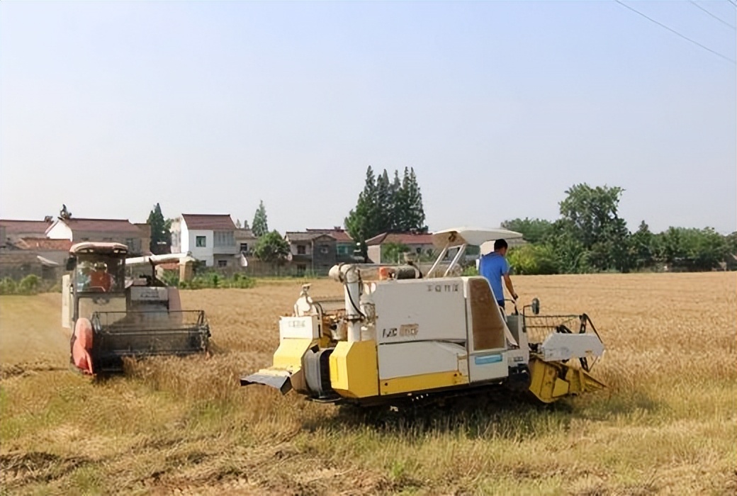 初瑞雪辛有志创业,初瑞雪创业正能量视频