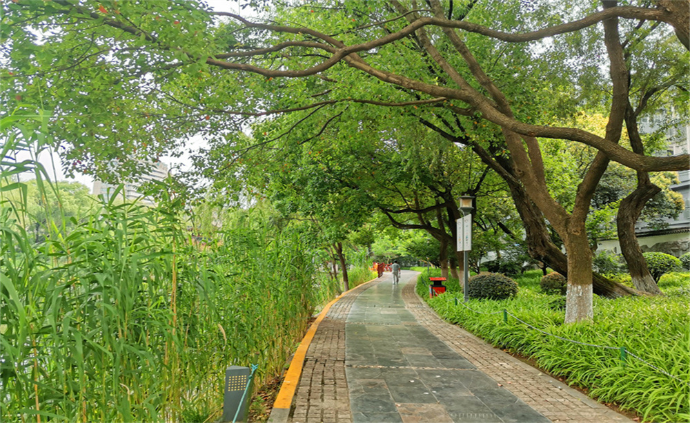 南京小西湖历史风貌,小西湖景区南京市江宁区