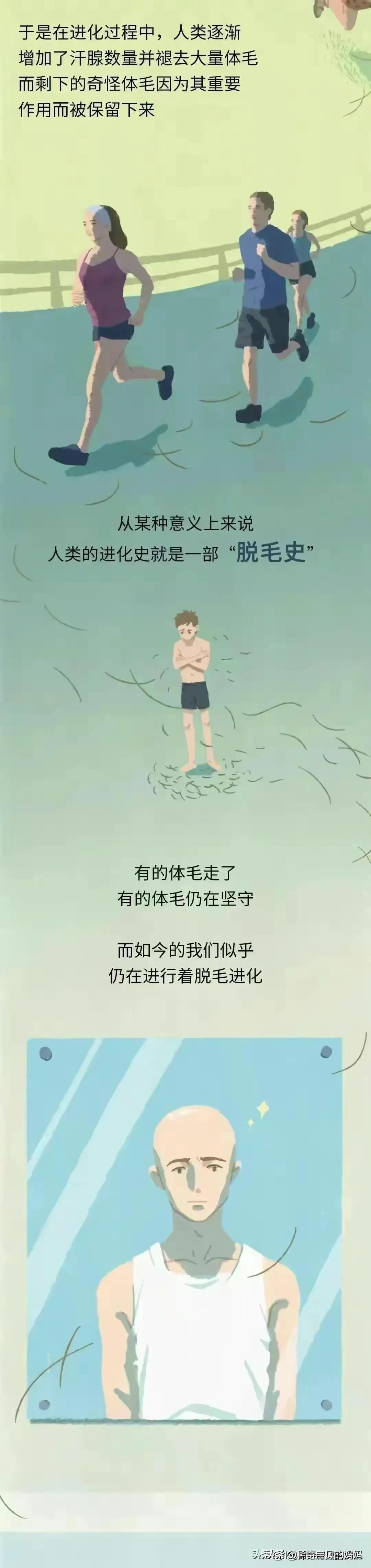 人类的毛发都是黑色的吗,人类体毛是为了什么存在的