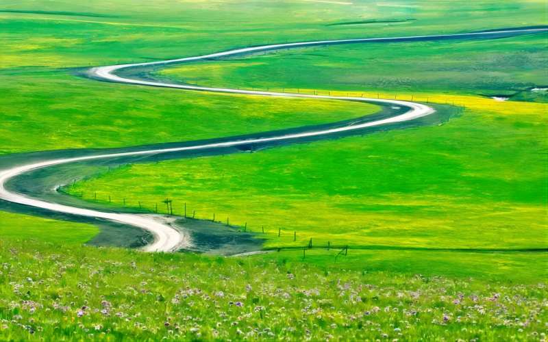 当教师是什么职业,教师是最轻松的职业吗