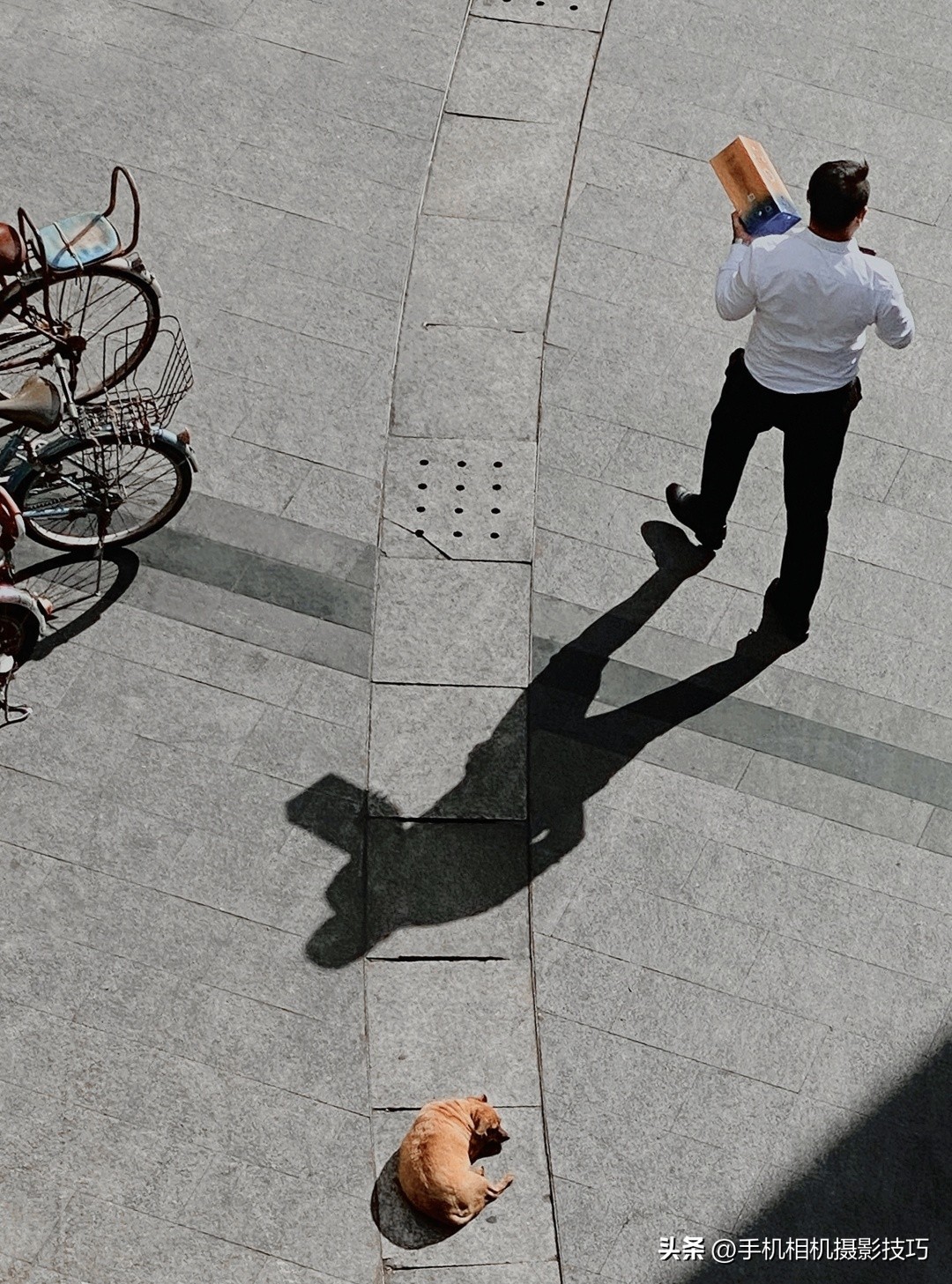 最有违和感的照片,盘点那些毫无违和感的图片