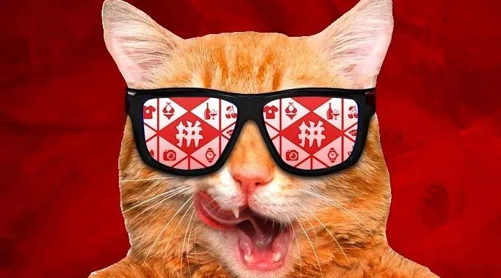 社群电商为什么这么火,拼团社交式电商营销