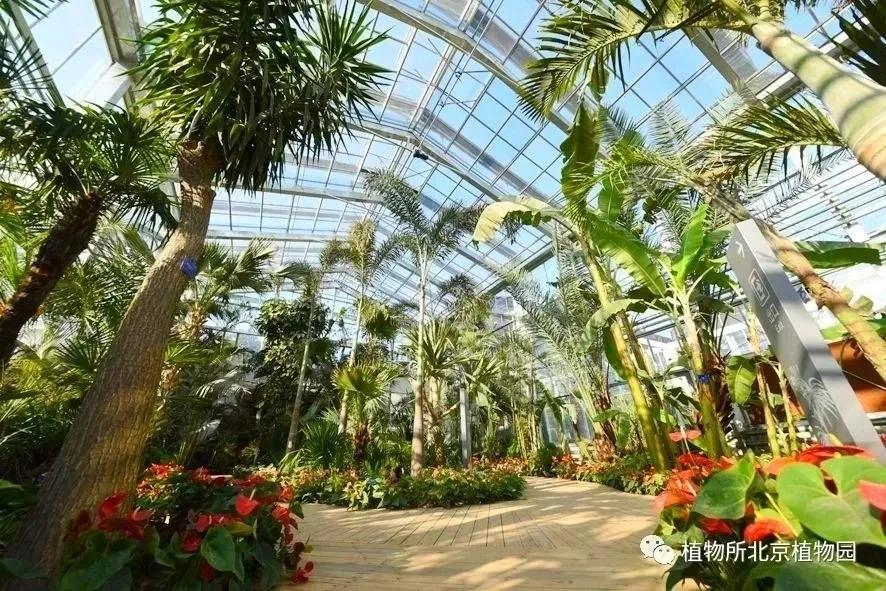 北京植物园的赏花的最好时节,西山秘境惊艳北京的植物