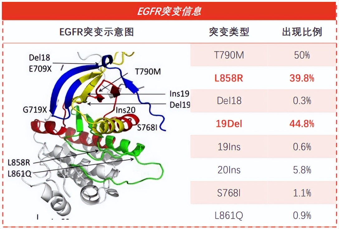 “肺癌王者”的第三代EGFR-TIK获批，百亿黄金赛道卷上天