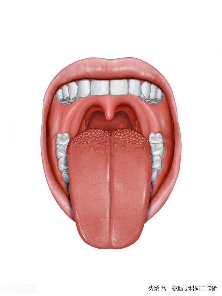 嘴巴突然感觉干要警惕三种疾病,嘴巴老是口干口渴吃什么药