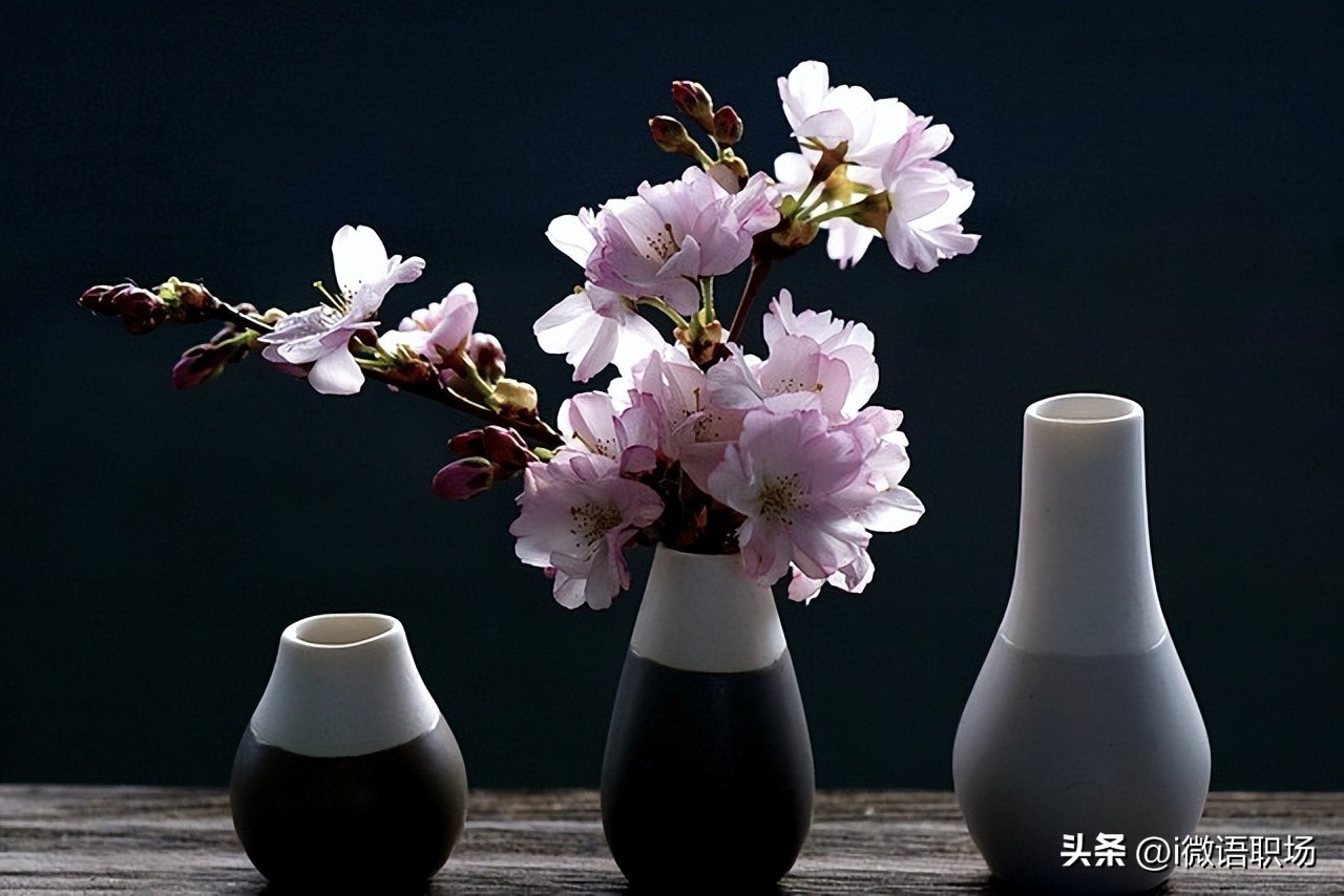 嫉妒是一种消极情绪对人只有坏处,嫉妒心强导致心灵扭曲伤害别人