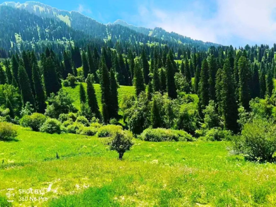 品读|张寿岭：关于春华秋实「八千湘女上天山」的修改札
