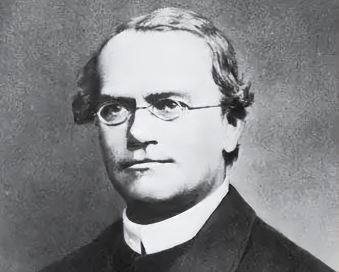 中古时期医学：欧洲中世纪早期的医学《医学基础理论》考点（4）