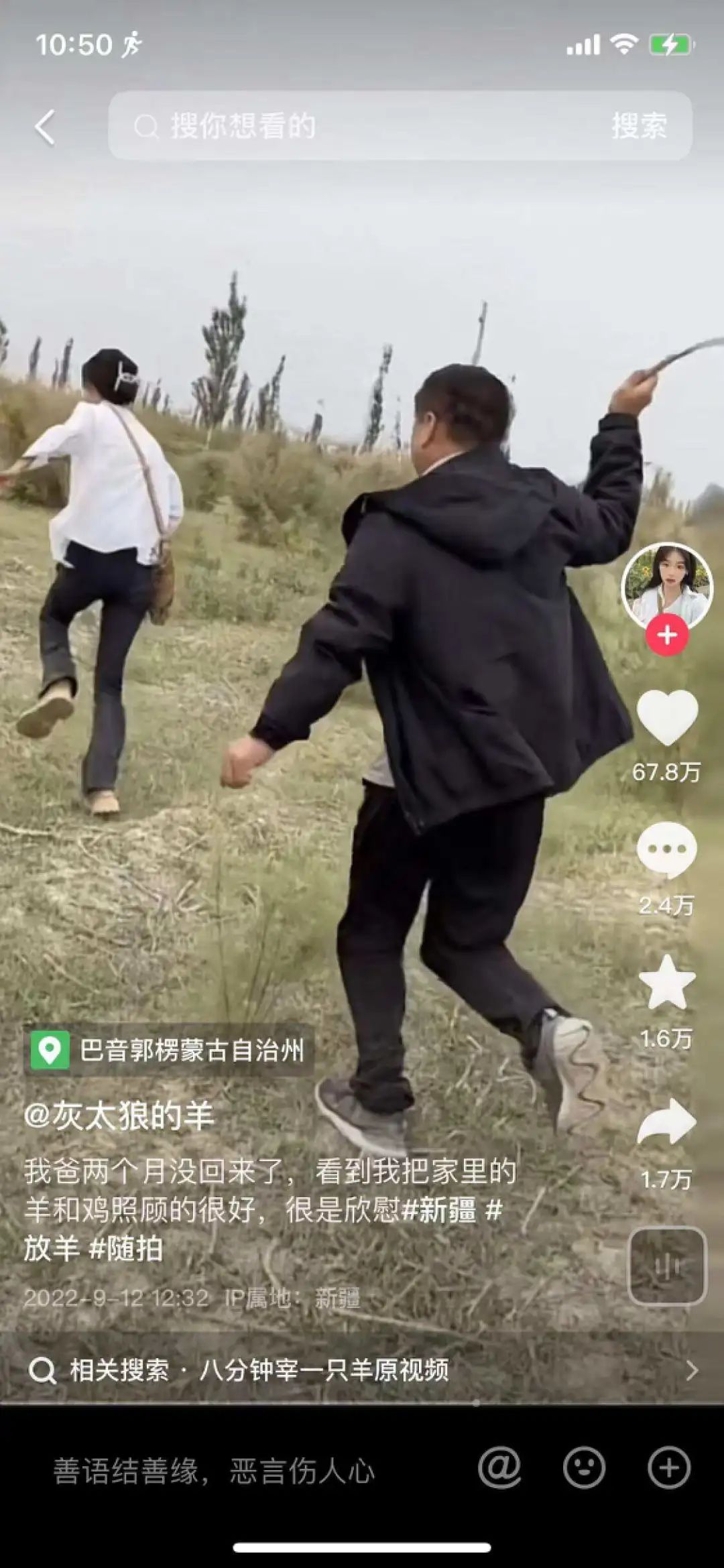 灰太狼和羊的朋友,谁爆料的灰太狼的羊