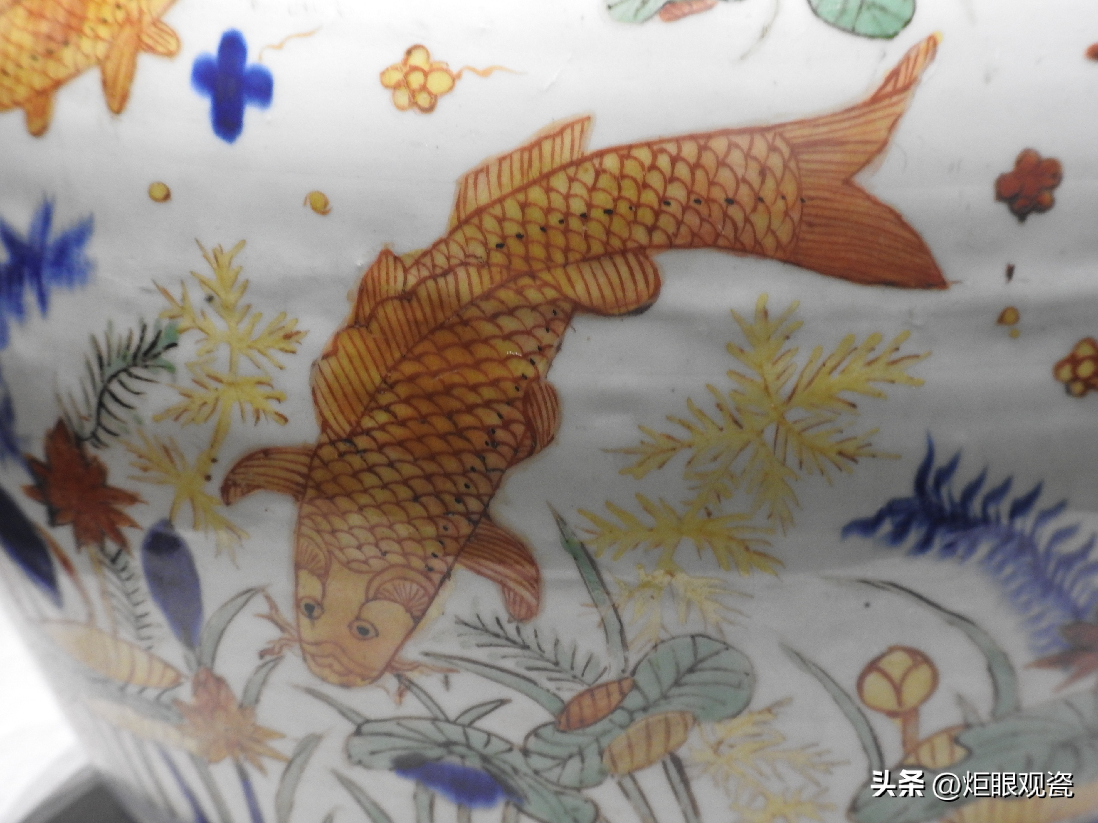 鱼乐其中——细观嘉靖五彩鱼藻纹罐的黄上红、翡翠绿、回石青