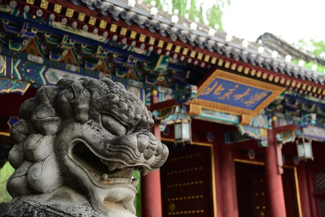 海淀妈妈“鸡娃”还“鸡狗”——妈妈中的“卷”王