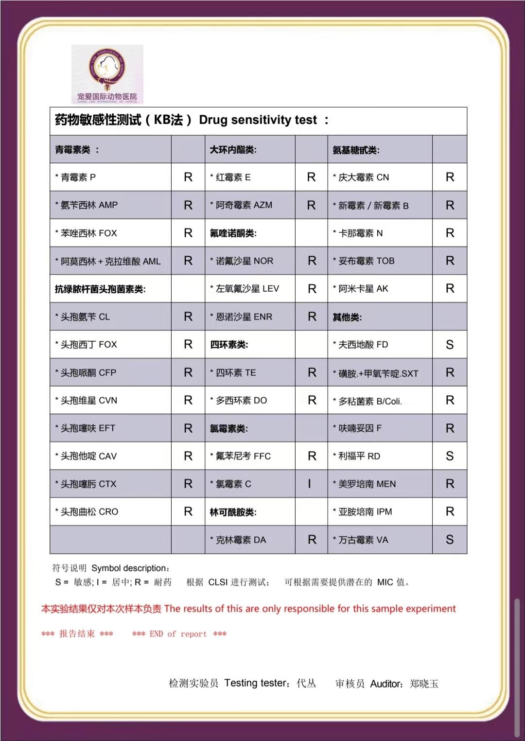 怎么预防猫咪尿路问题,铲屎官必看猫咪小技巧