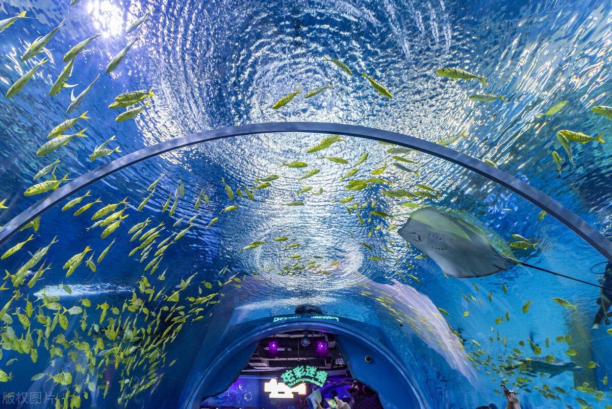 上海环球金融中心观光厅门票价格,上海旅游景点门票一览表