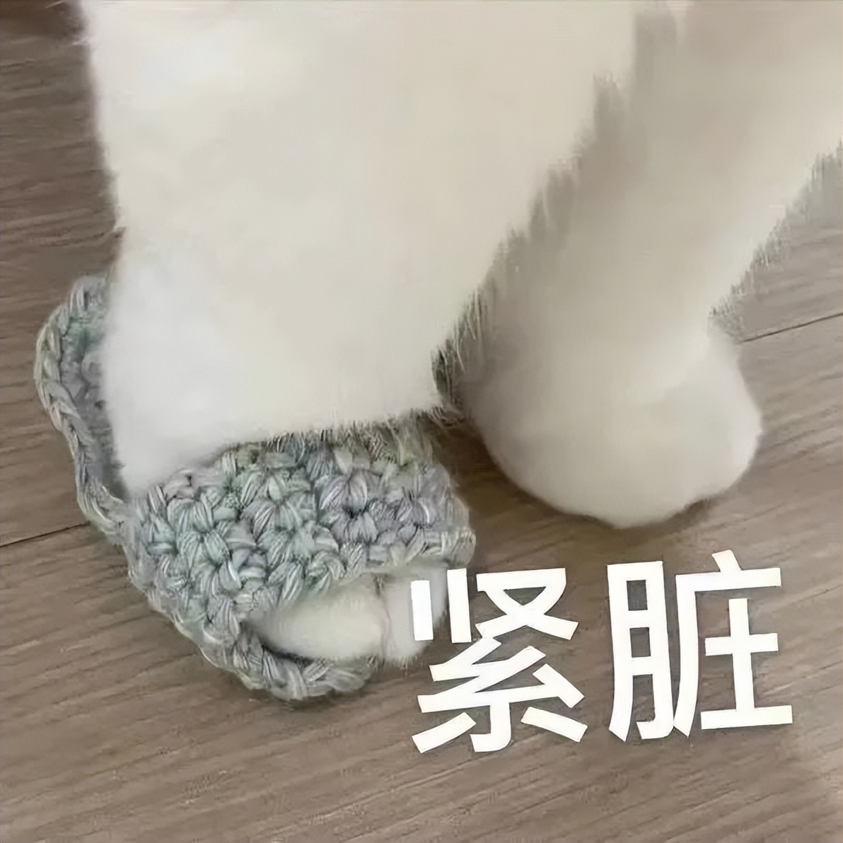 贩剑表情包评论区,贩剑表情包不回消息