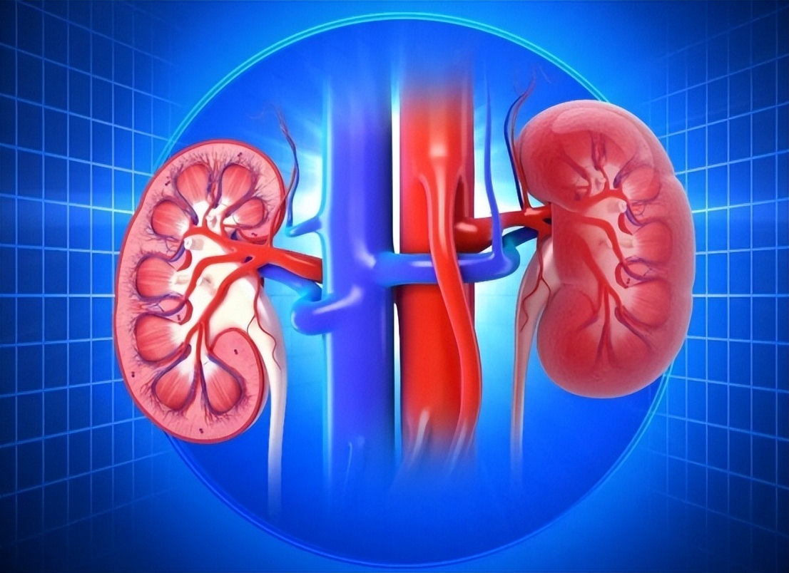 肾癌最好的手术方式,肾癌术后减轻的体重会恢复吗