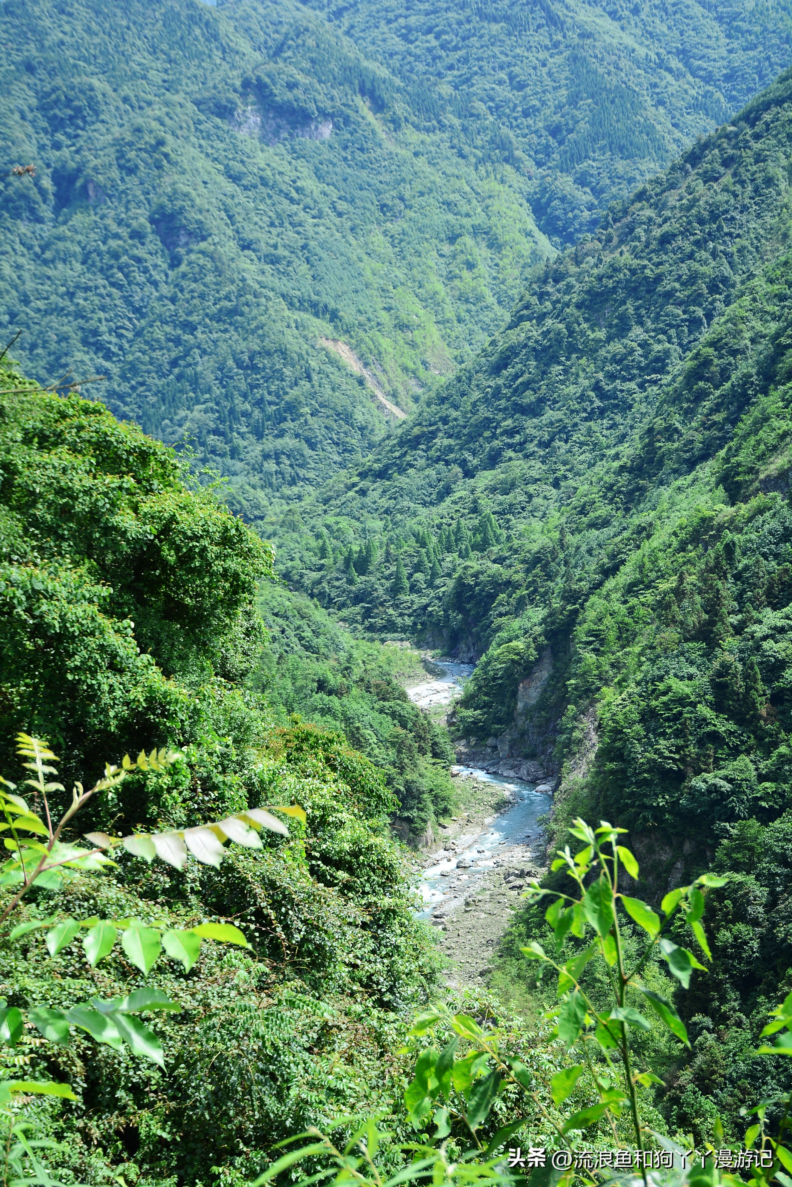 四月份成都近郊一日游好去处,2022成都近郊看雪一日游最佳去处
