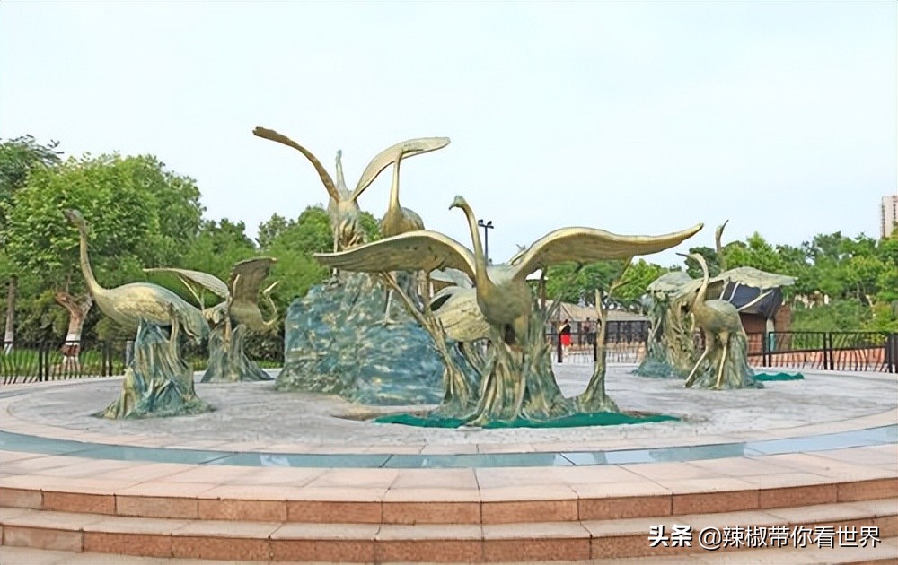 盐城最大的海边城市,盐城海岸线为何一直延伸