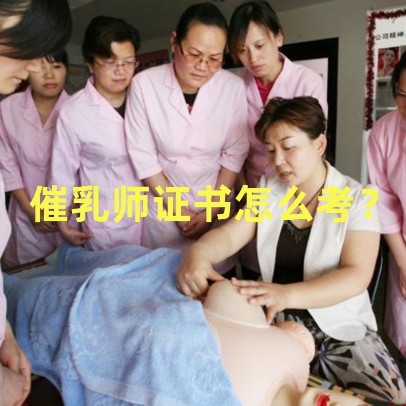学催乳师培训要多少钱学费,催乳师报名培训多少钱
