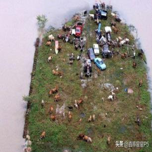 高清老照片：旗人格格大腿岔开豪放洗衣，地主三妻四妾不输女明星