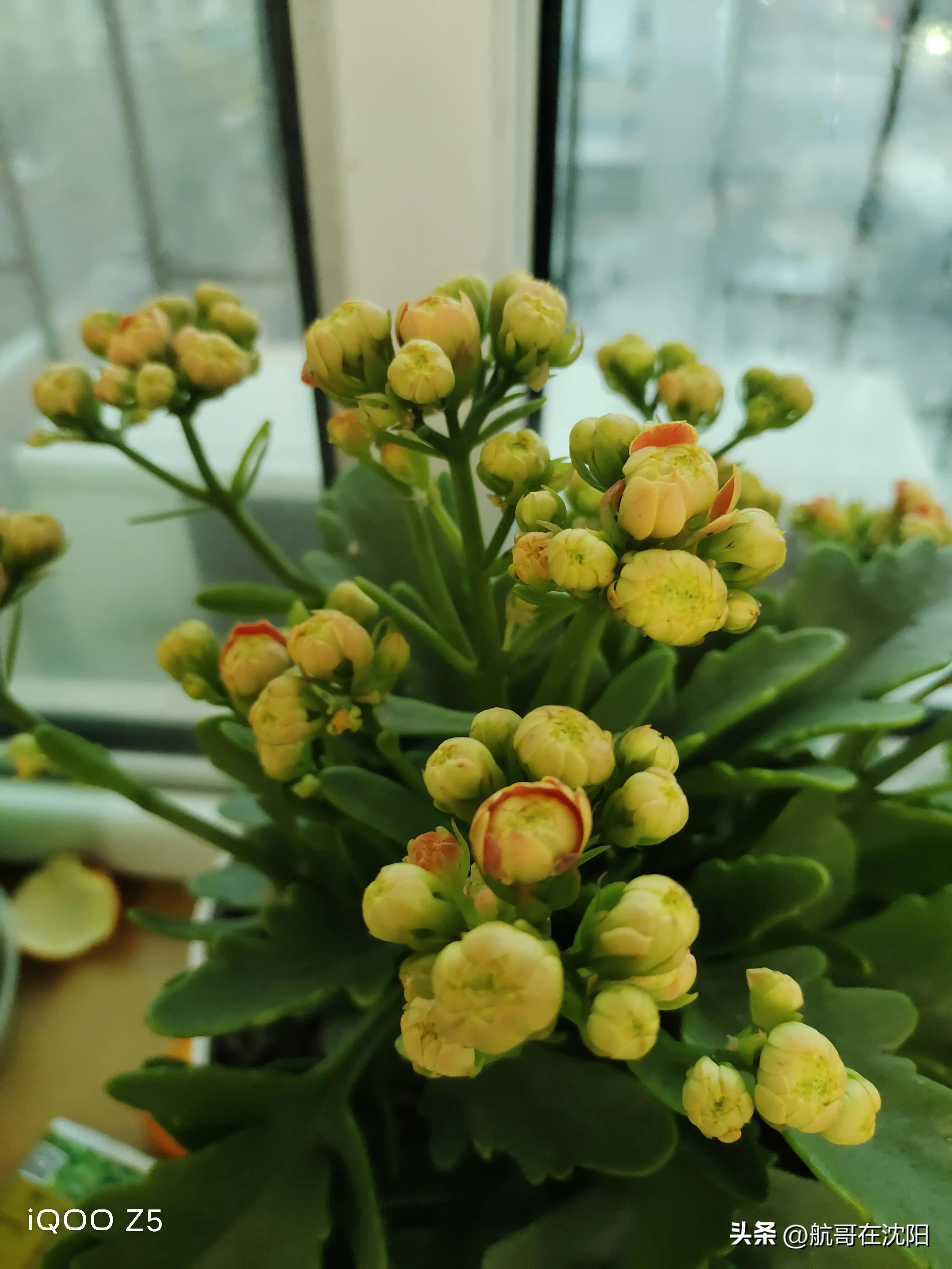 全款买房买车入住小区，邻居一番话令我顿悟，做人不低调真没朋友