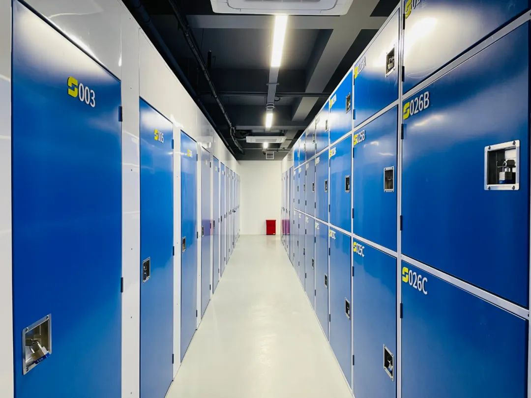 美国人房子特点,美国人房子都是租的吗