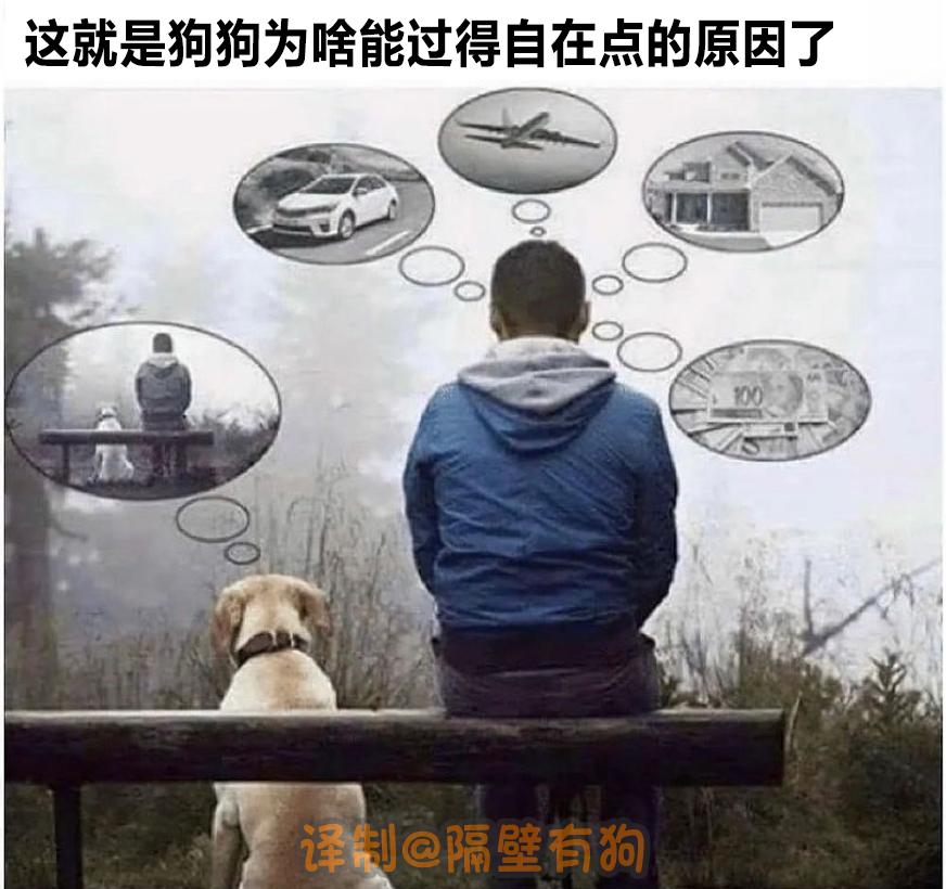 看完恐怖片不敢去最后一间厕所,看完恐怖片转移阵地