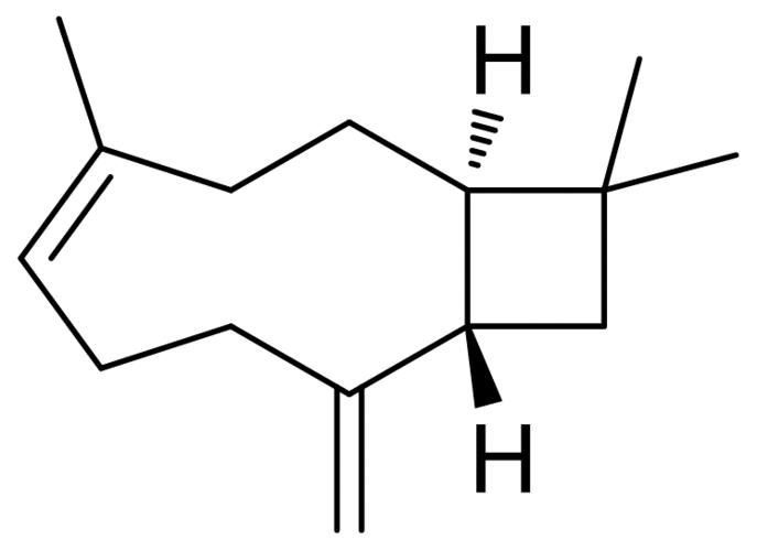精油的毒性,微生物制剂在对虾应用