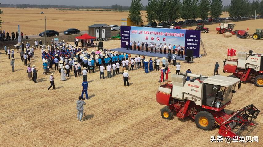 减出亿斤粮！潍柴雷沃以机收减损促颗粒归仓