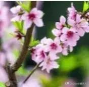 当你迷茫失去方向怎么办,当你迷失方向的时候最该做什么