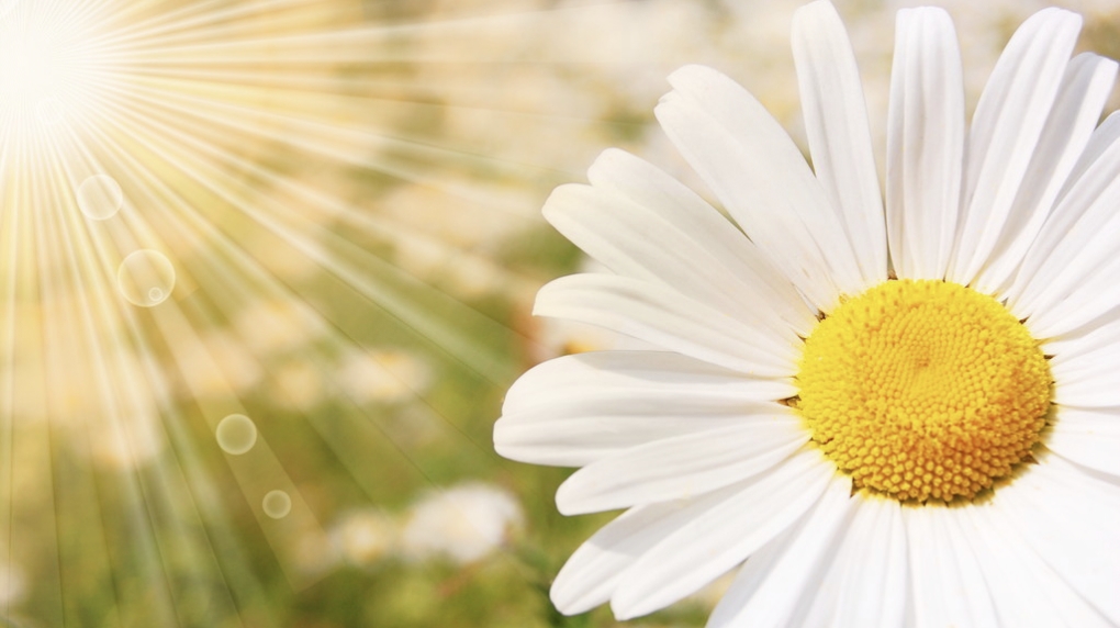 非滴虫非霉菌性阴道炎的症状表现,霉菌性阴道炎症状怎么治疗最有效