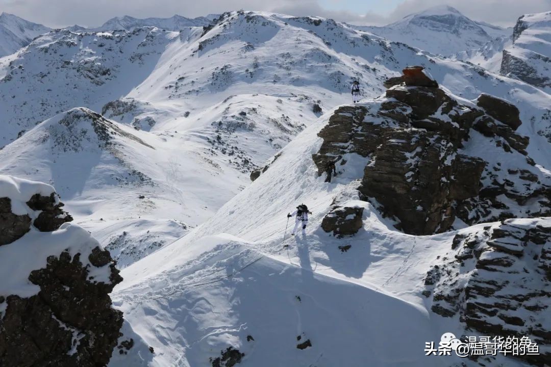 空军首次使用运20集中运送新学员,中国空军运20简介