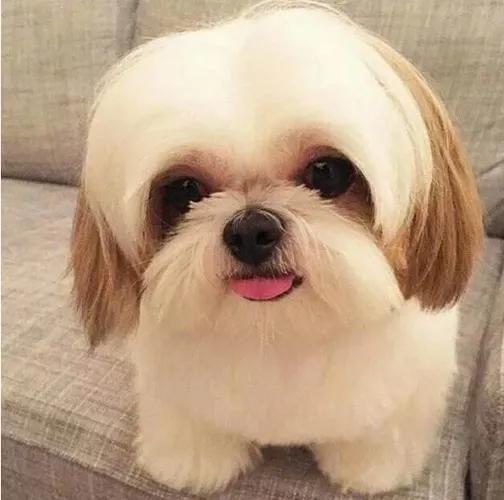 公司池塘的鱼死了,没几天公司财务的门碎了,老板的血压高了