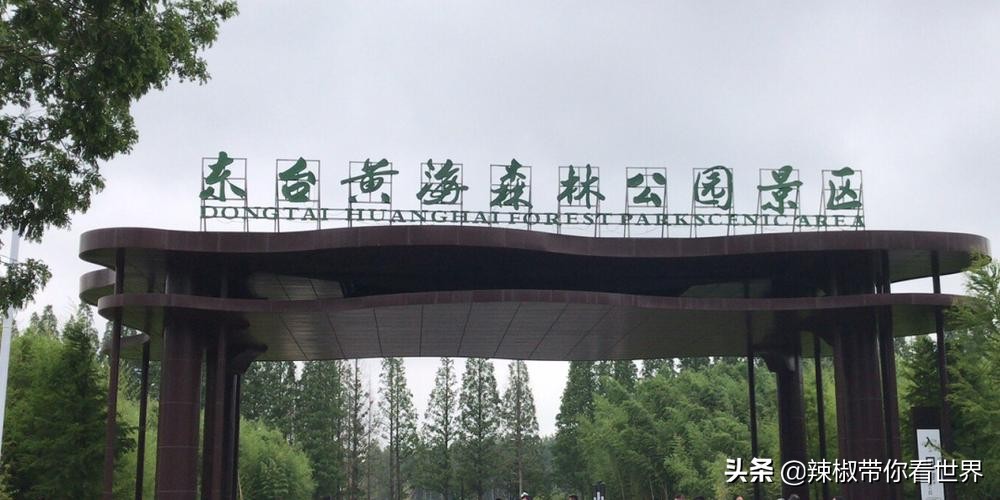 盐城最大的海边城市,盐城海岸线为何一直延伸