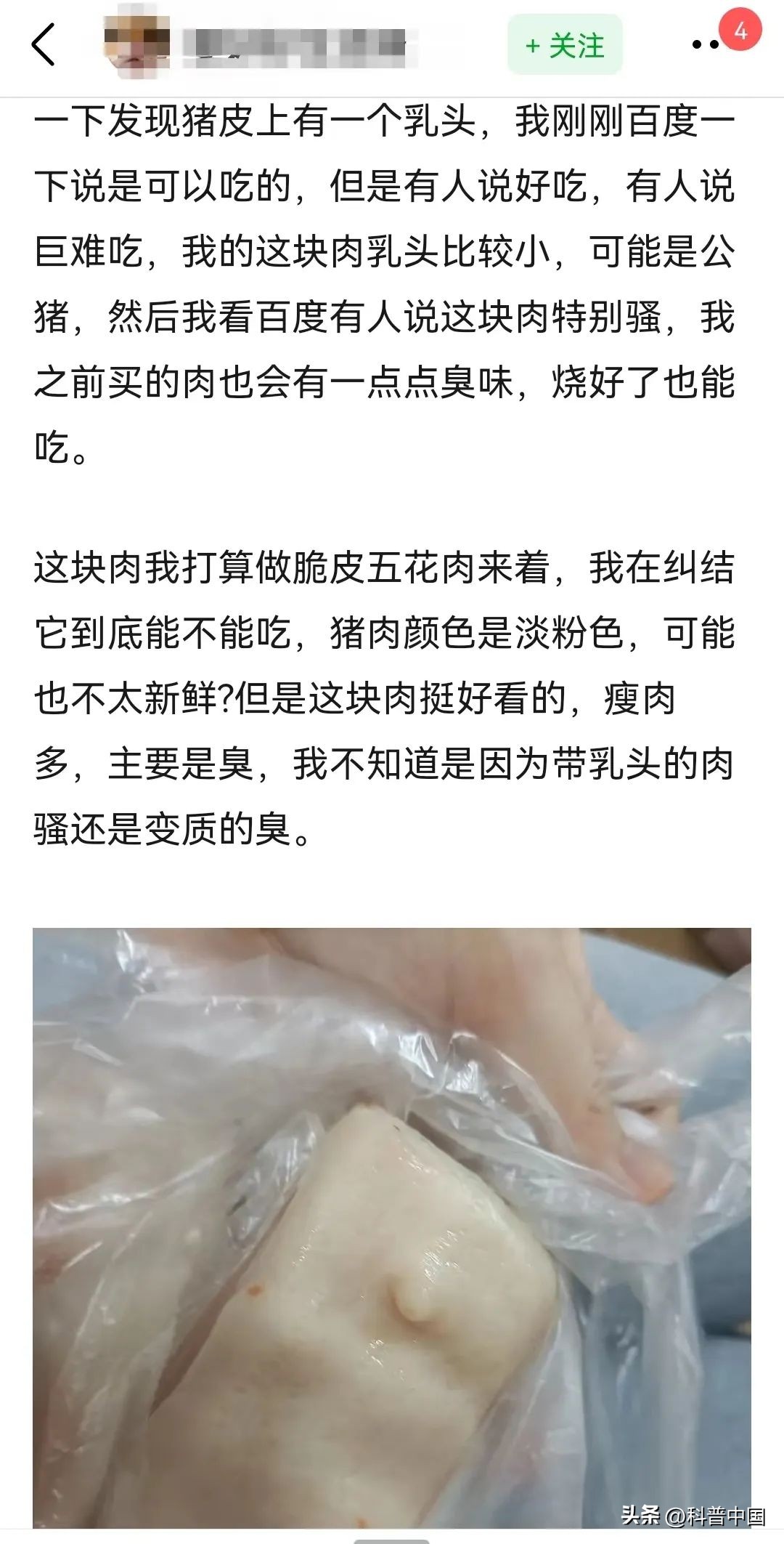 救命！买到了一块带乳头的五花肉，怎么办？