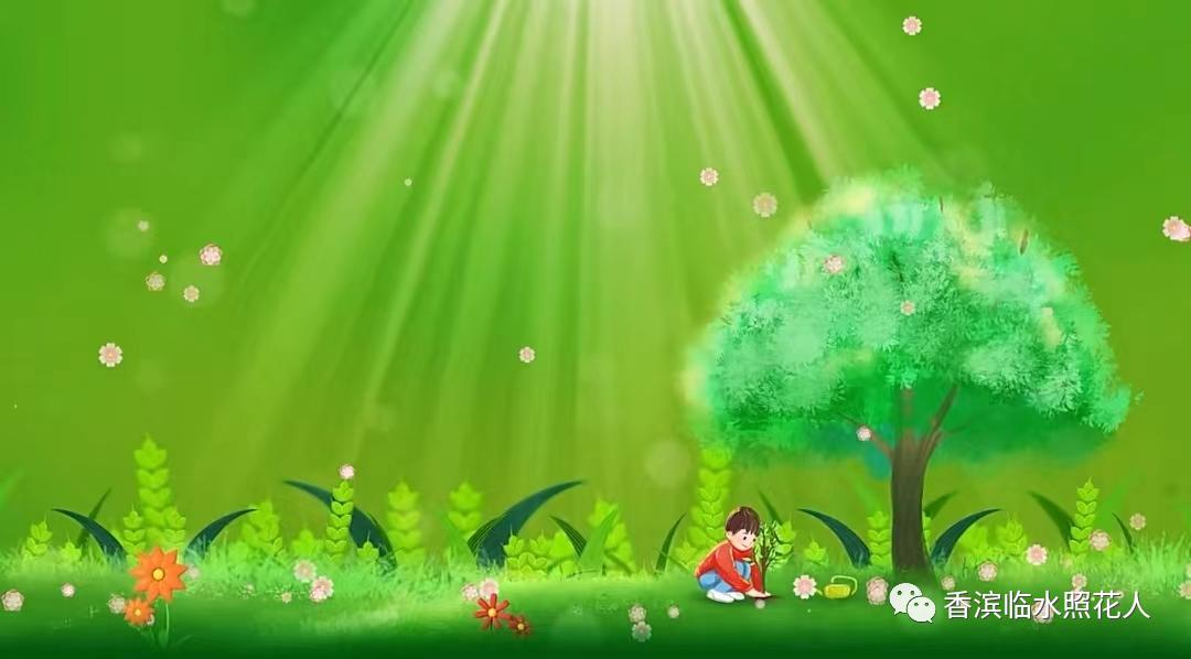 奋斗成就梦想作文好句,奋斗成就梦想读后感50字