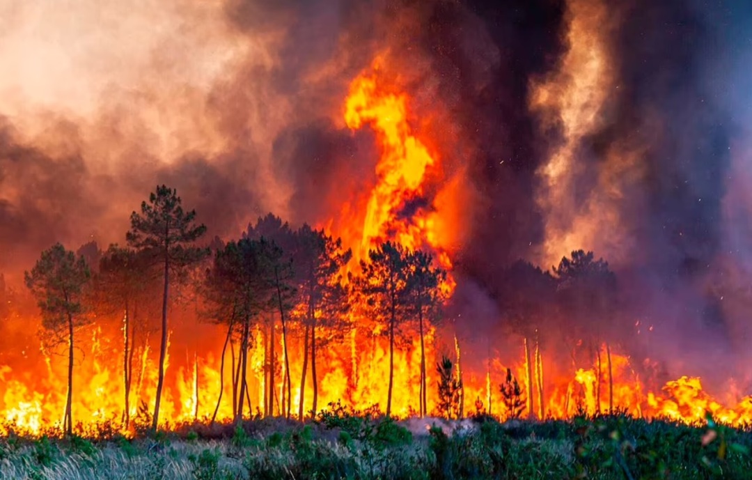 英国40度！法国40度！西班牙40度！这么热还没空调，猪都要涂防晒