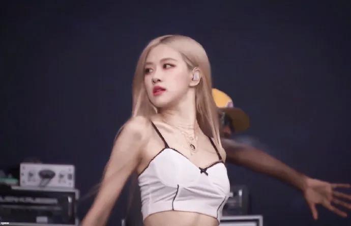 澳洲玫瑰rose (美到窒息的澳洲玫瑰)