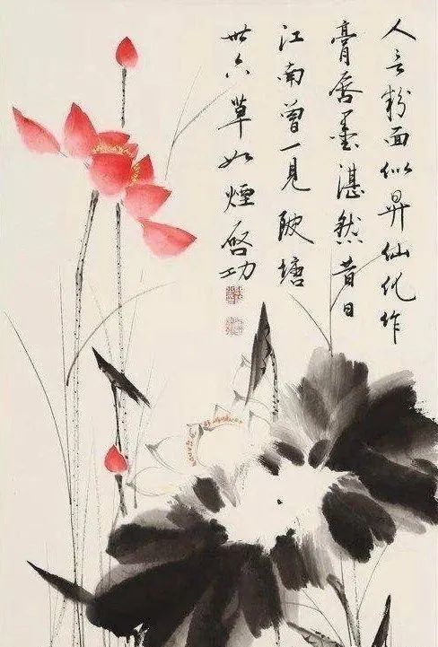 启功荷花作品欣赏,启功《荷上花帖》