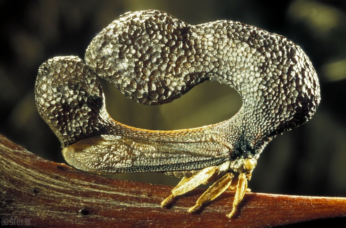 不因虚度年华而悔恨，不因碌碌无为而羞耻，开学第一课