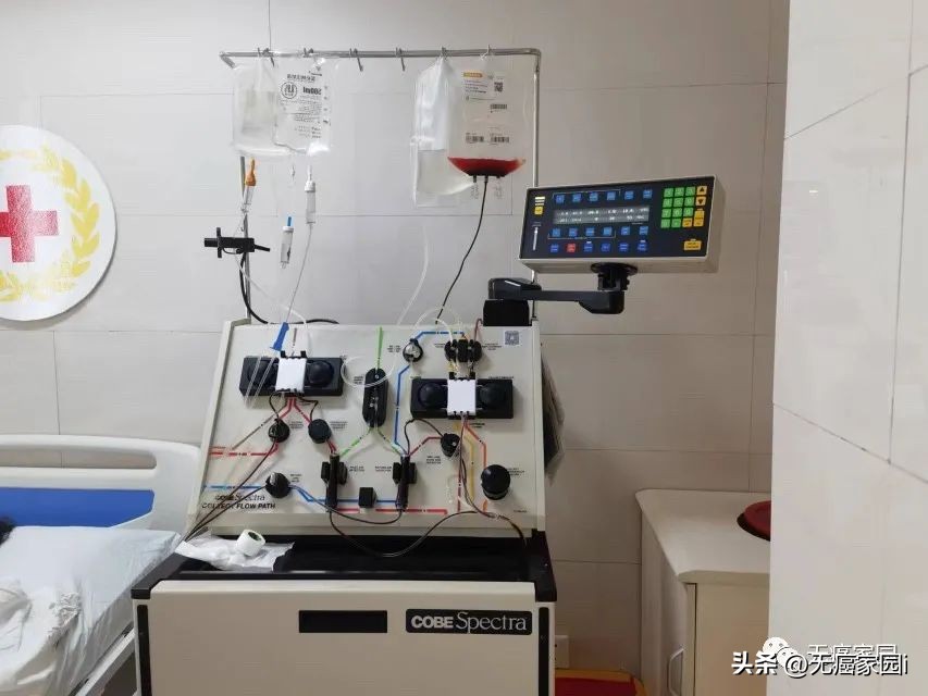 car-t治疗技术现状,car-t治疗过程演示