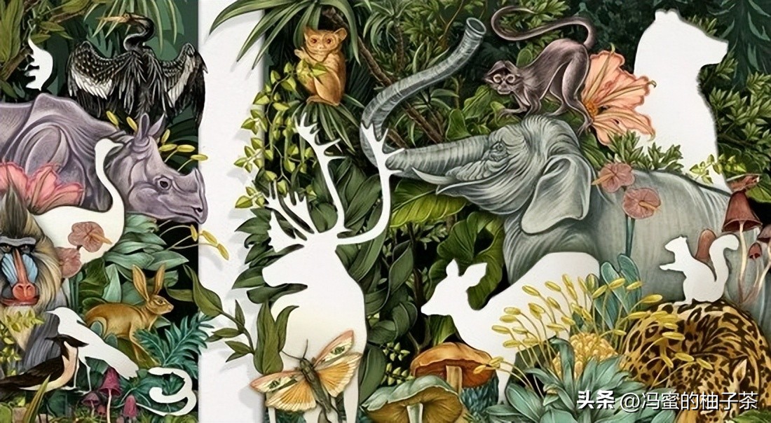 生物多样性的保险价值，在经济学框架中有何意义？