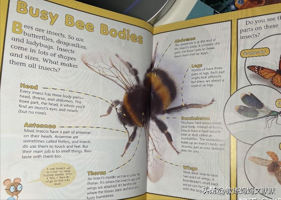 推荐订阅的儿童杂志有哪些,中国含金量高的儿童杂志推荐