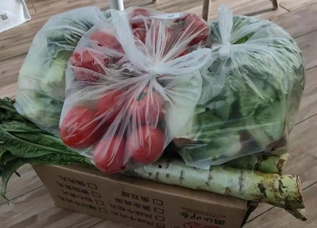 短短一天，我囤完了一个月的菜