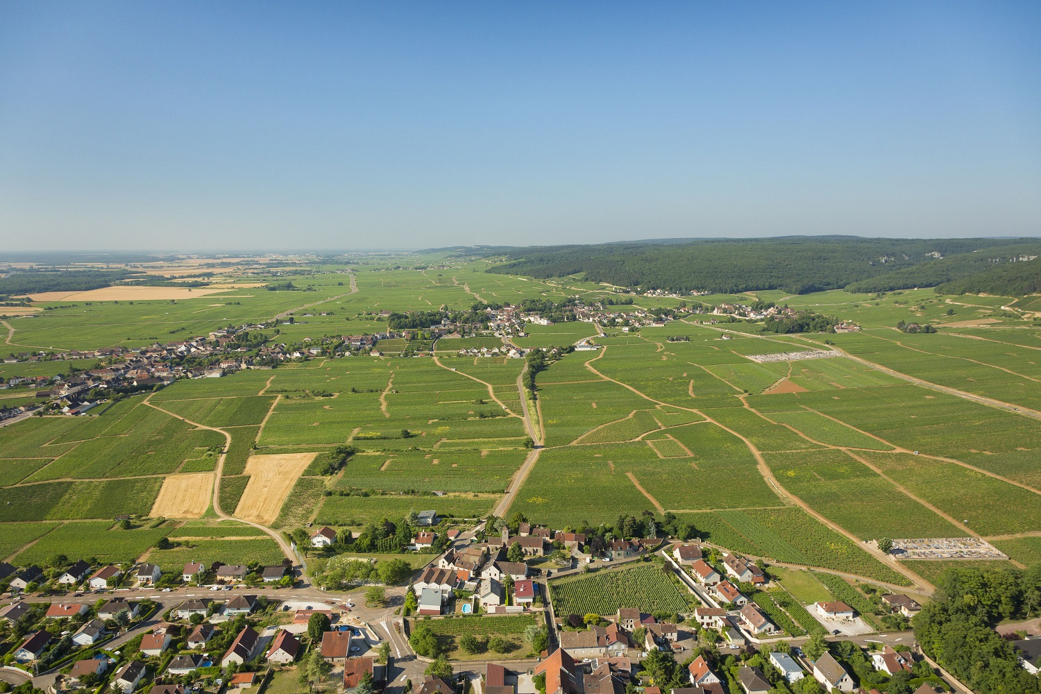 读懂勃艮第,勃艮第进行时